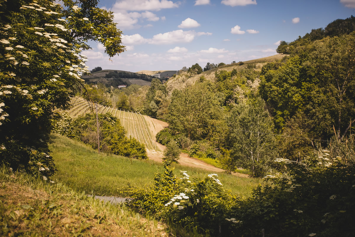 Bed and Breakfast nel Monferrato, Piemonte.